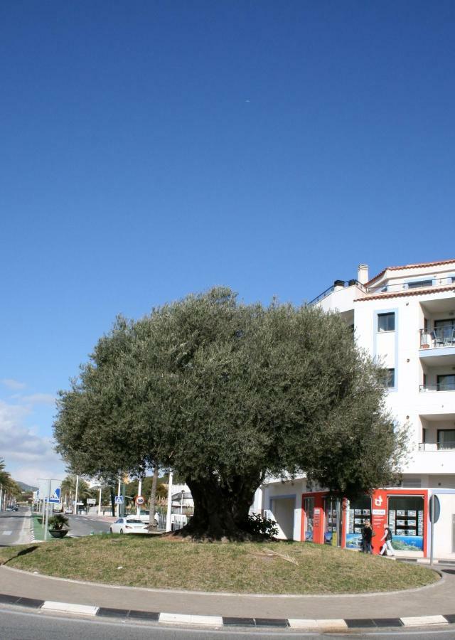Appartement Monica Moraira Eksteriør bilde